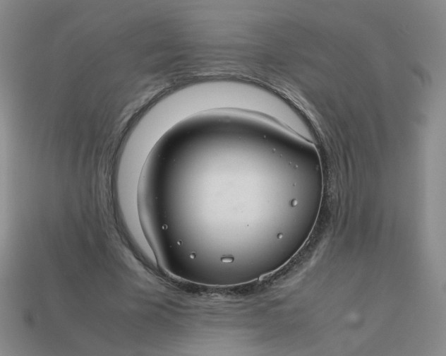 X0000113760585200910141050