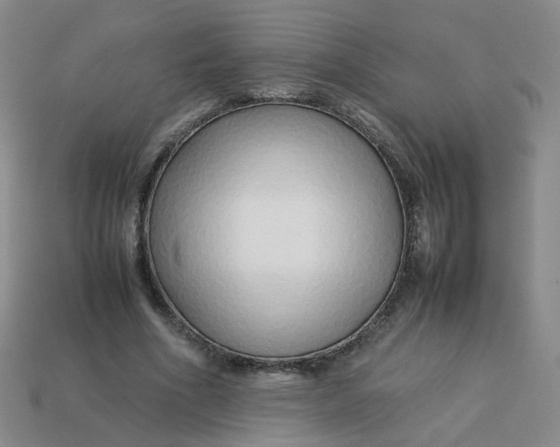 X0000113760586200910141050