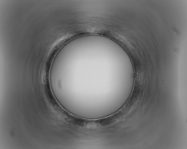 X0000113760587200910141050