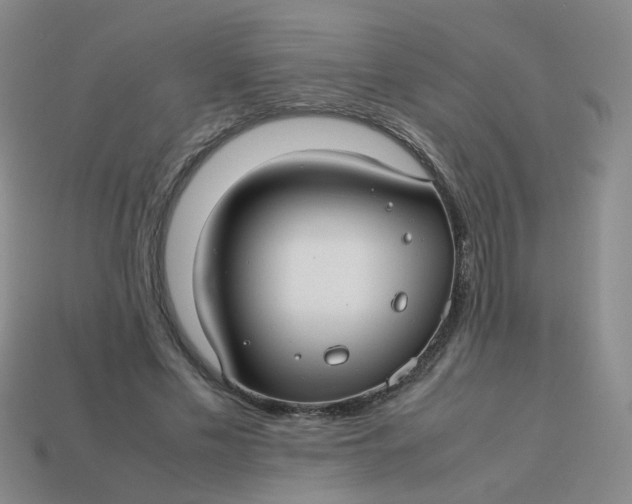 X0000113760589200910141050