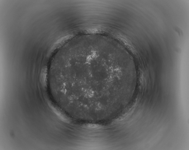 X0000113760590200910141050