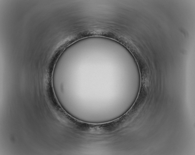 X0000113760591200910141050