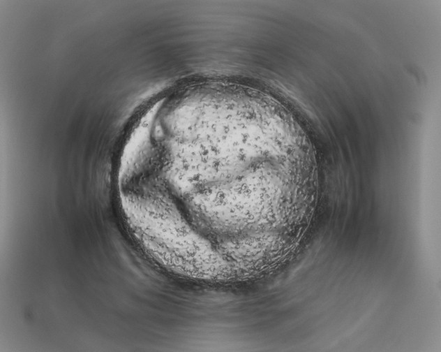 X0000113760592200910141050