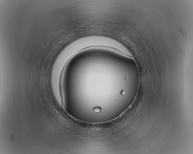 X0000113760593200910141050