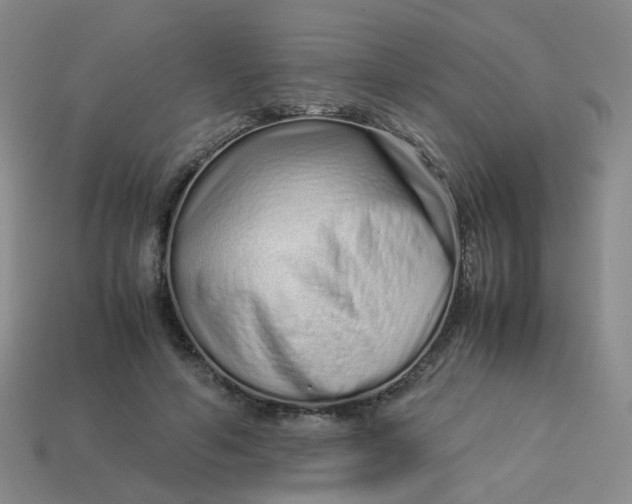 X0000113760594200910141050