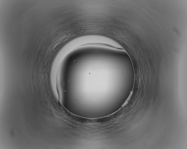 X0000113760595200910141050