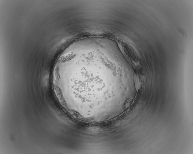 X0000113760596200910141050