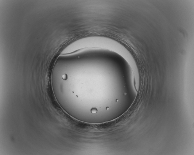 X0000113760597200910141050