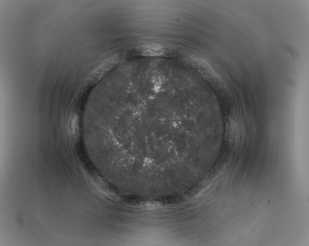 X0000113760598200910141050