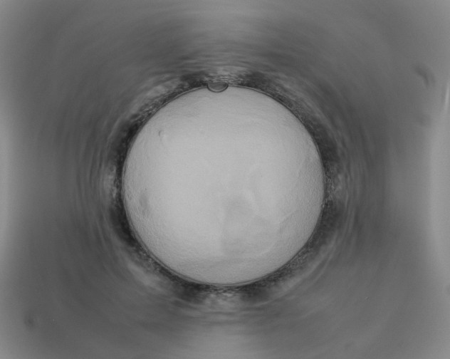 X0000113760599200910141050