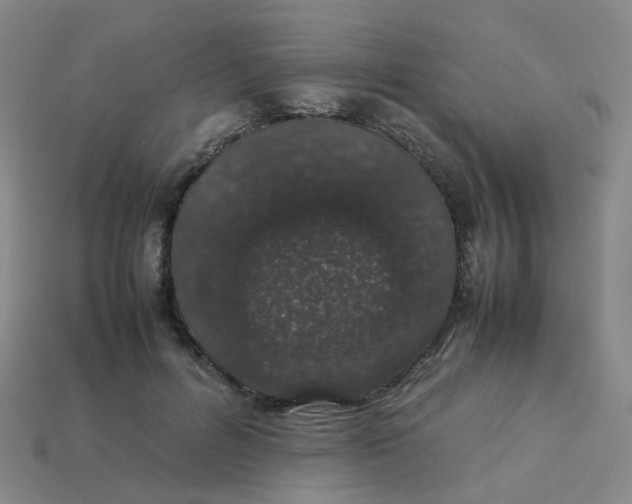 X0000113760600200910141050