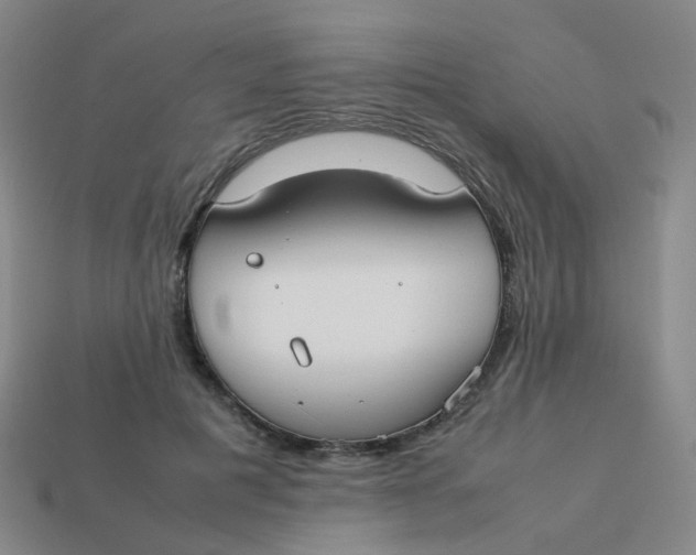 X0000113760601200910141050