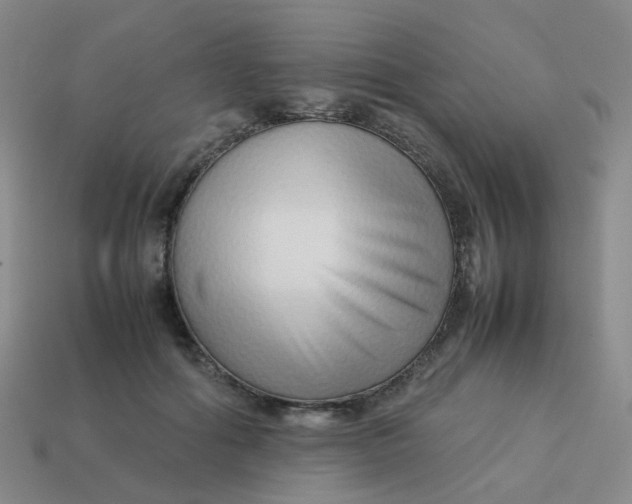 X0000113760602200910141050