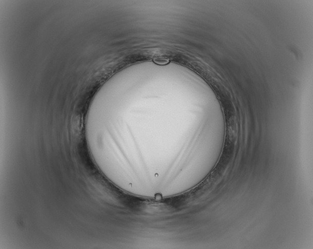 X0000113760605200910141050