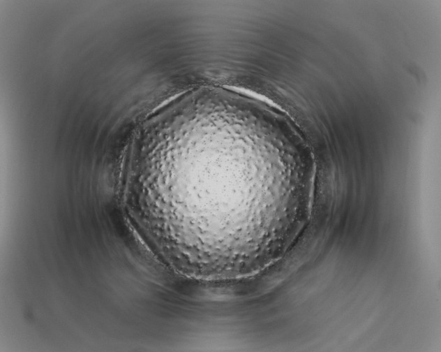 X0000113760606200910141050