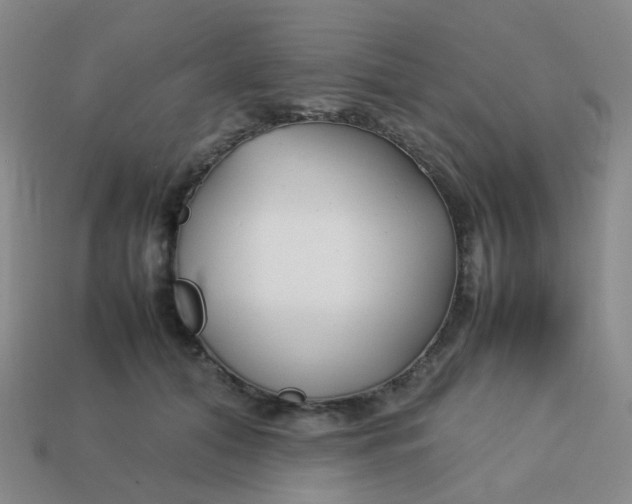 X0000113760608200910141050