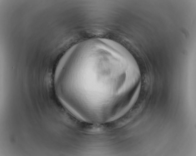 X0000113760612200910141050