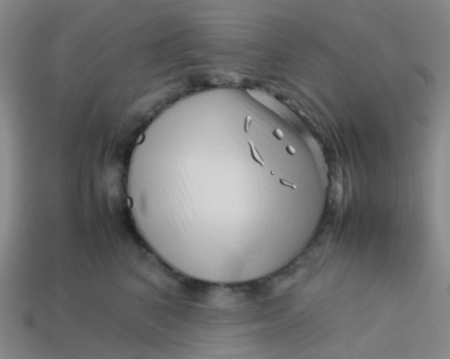 X0000113760616200910141049