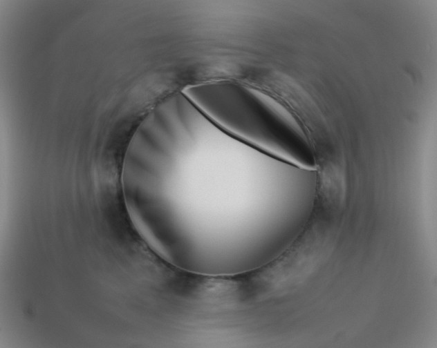 X0000113760617200910141049