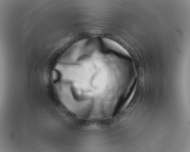 X0000113760618200910141049