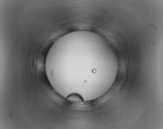 X0000113760622200910141049