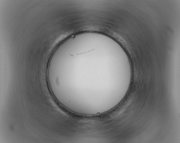 X0000113760625200910141049