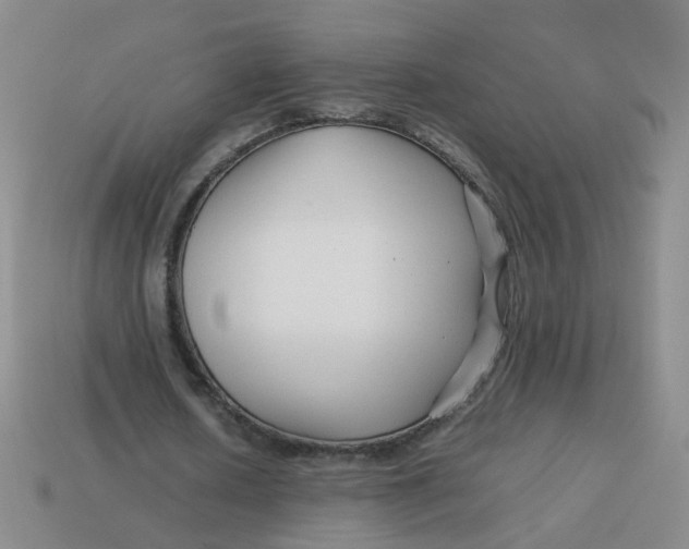 X0000113760626200910141049