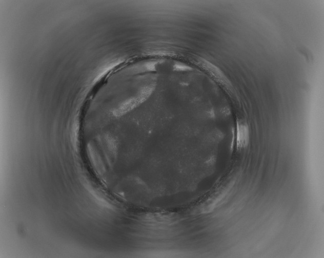 X0000113760627200910141049