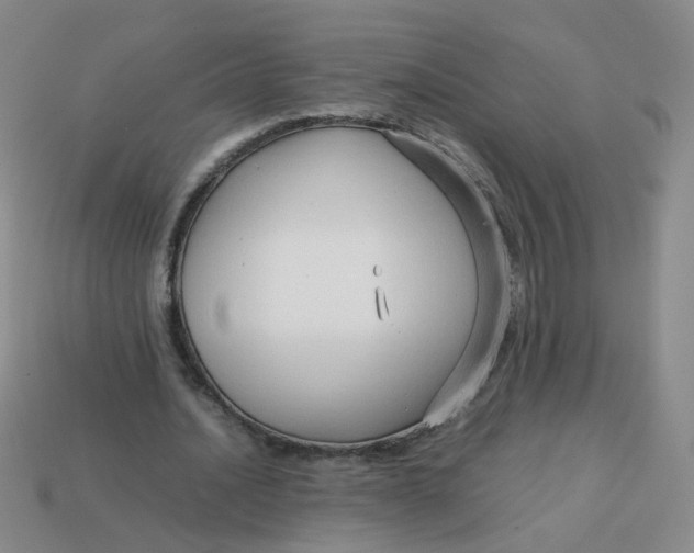 X0000113760628200910141049