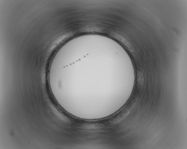 X0000113760629200910141049