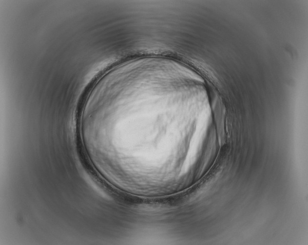 X0000113760630200910141049