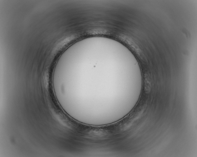 X0000113760631200910141049