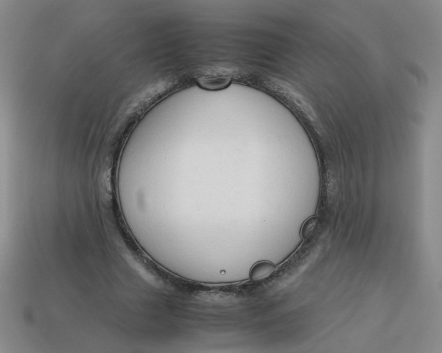 X0000113760633200910141049