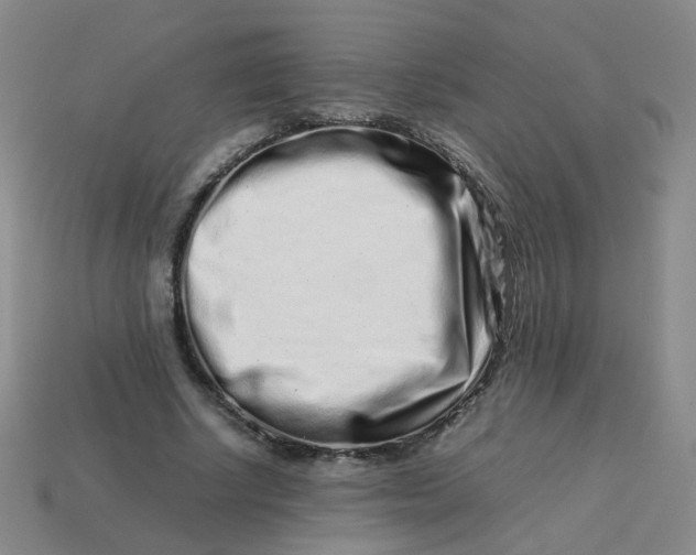 X0000113760634200910141049