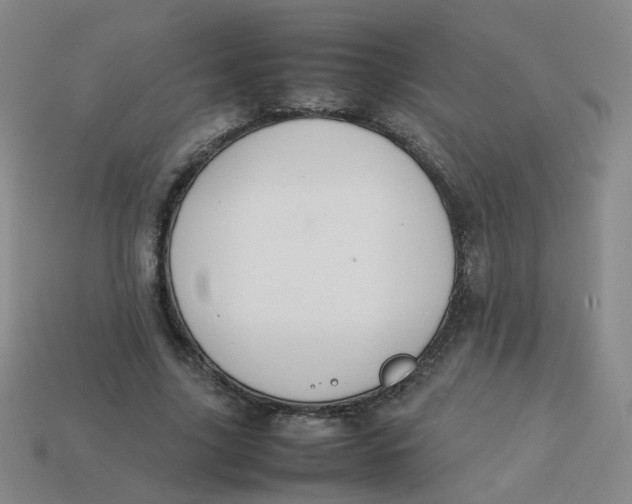 X0000113760635200910141049