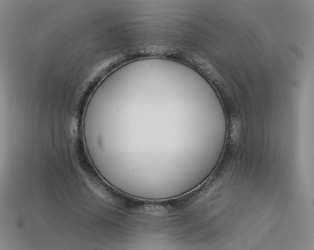 X0000113760636200910141049