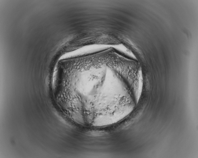 X0000113760637200910141049