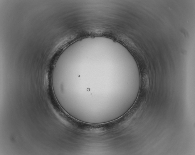 X0000113760638200910141049