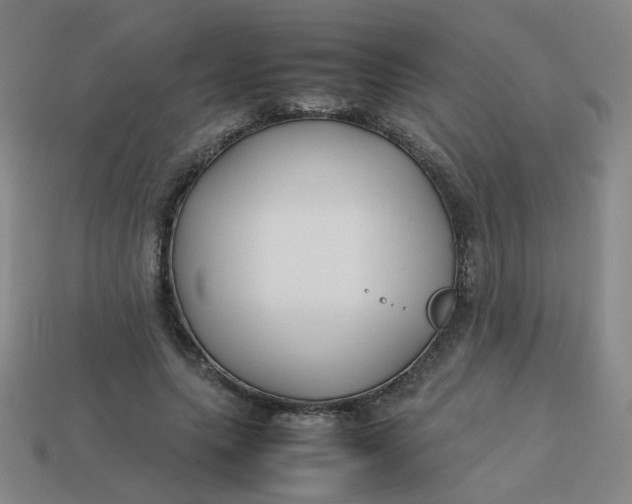 X0000113760639200910141049