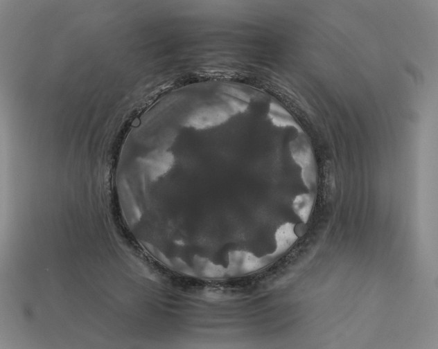 X0000113760641200910141049