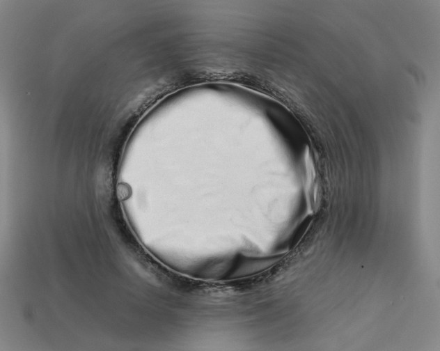 X0000113760642200910141049