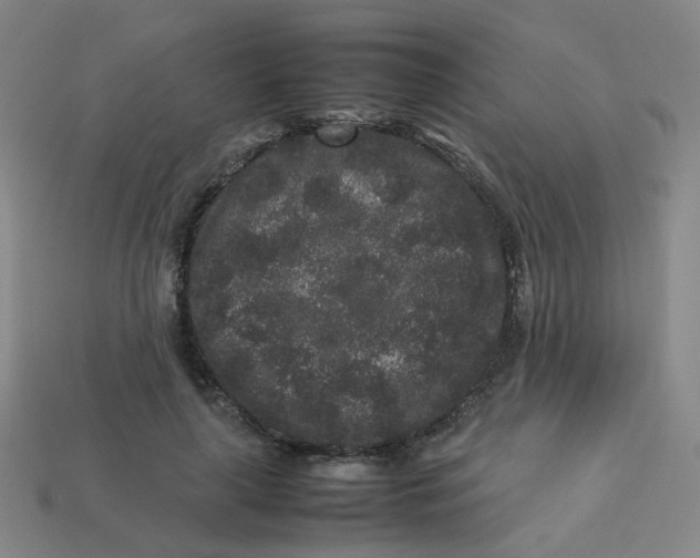 X0000113760643200910141049