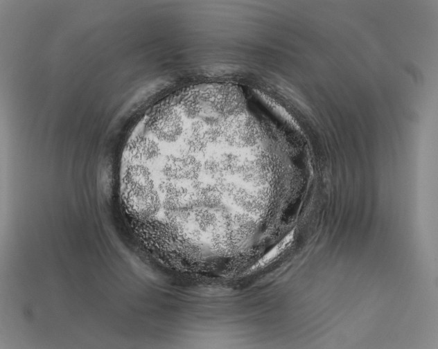 X0000113760644200910141049