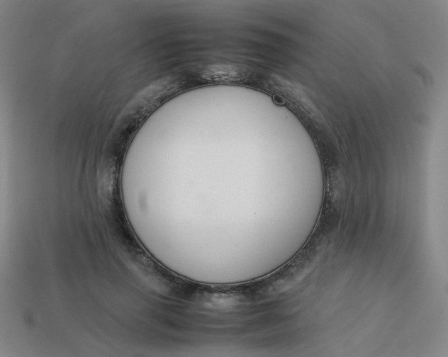 X0000113760645200910141049