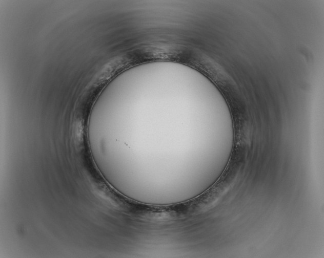 X0000113760646200910141049