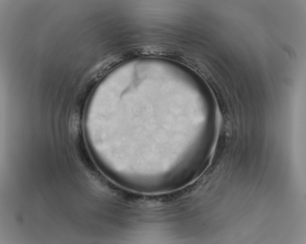 X0000113760648200910141049