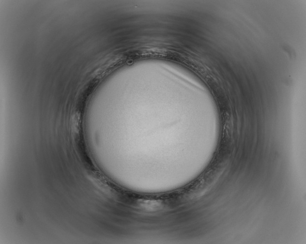 X0000113760649200910141049