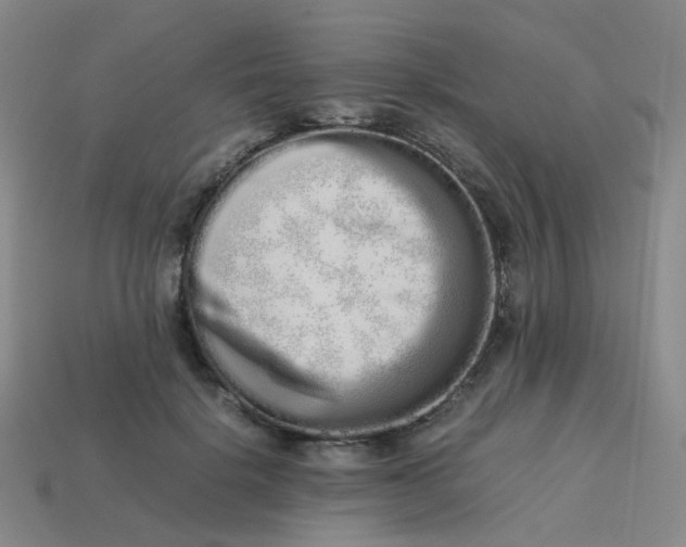 X0000113760652200910141049