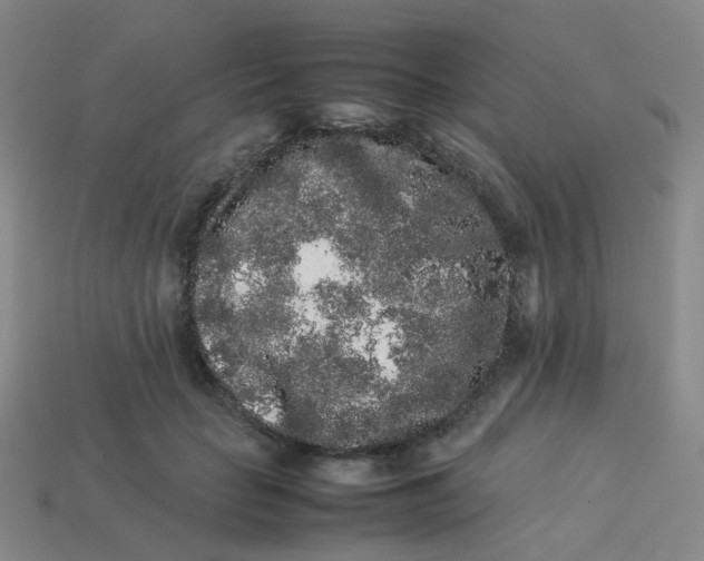 X0000113760653200910141049