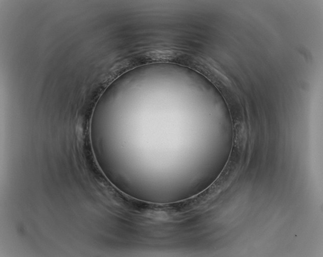 X0000113760655200910141049